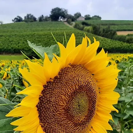 D'hotes - Le Moussat